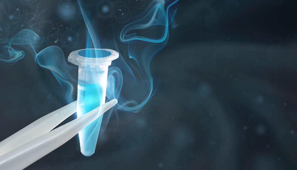 5 Maddede Yumurta Dondurma İşlemi